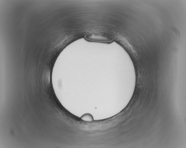 X0000115670021200912101122