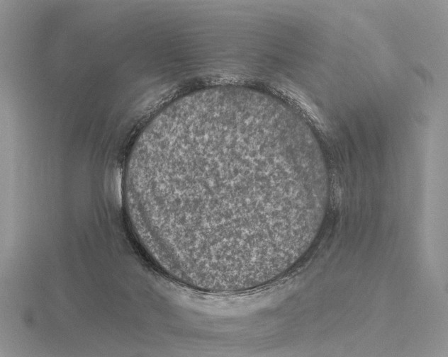 X0000115670022200912101122