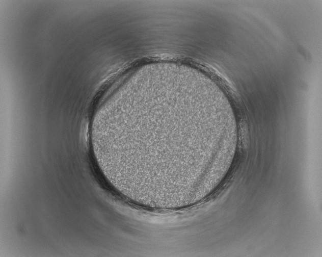 X0000115670024200912101122