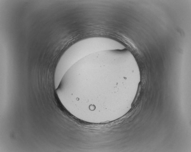 X0000115670025200912101122