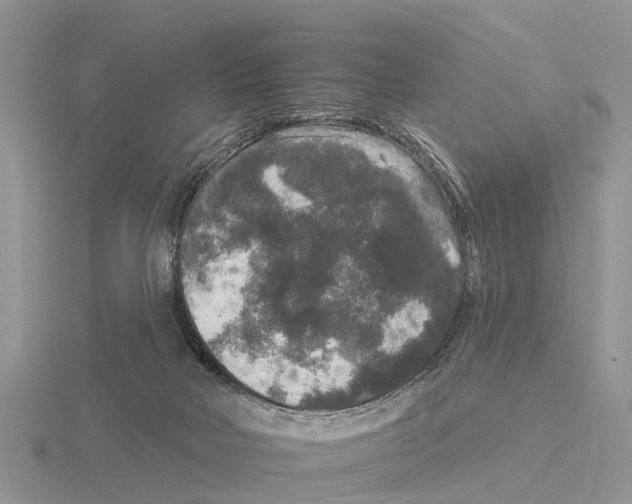 X0000115670026200912101122