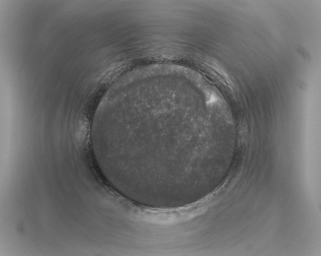 X0000115670029200912101122