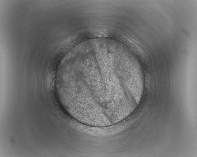 X0000115670030200912101122