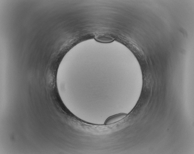 X0000115670031200912101122