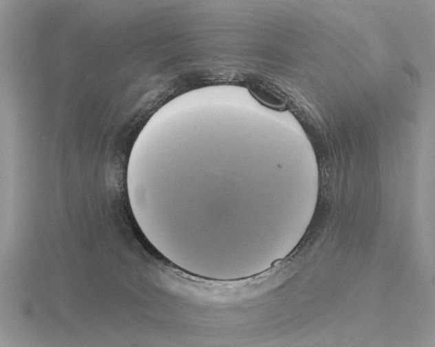 X0000115670035200912101122