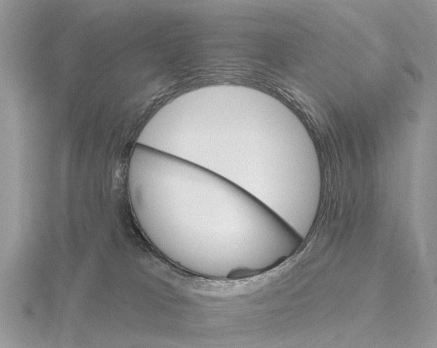 X0000115670037200912101122