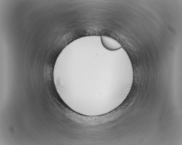 X0000115670038200912101122