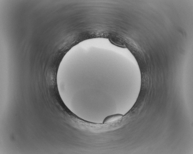 X0000115670039200912101122