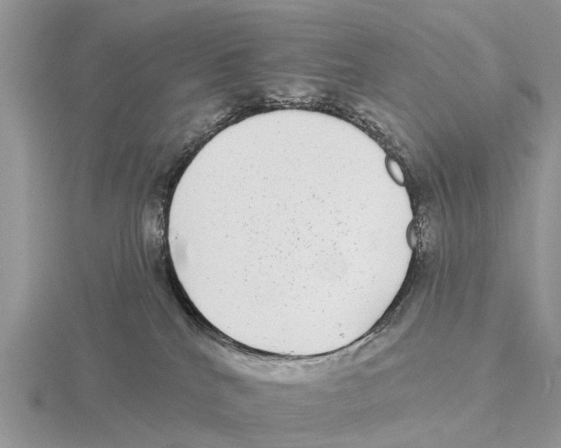 X0000115670040200912101122