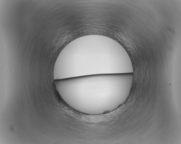 X0000115670041200912101122