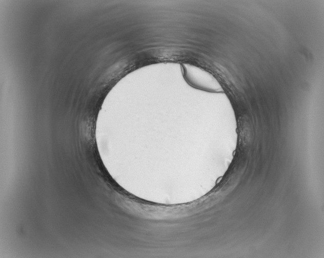 X0000115670044200912101122