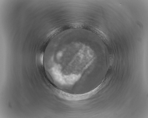 X0000115670047200912101122