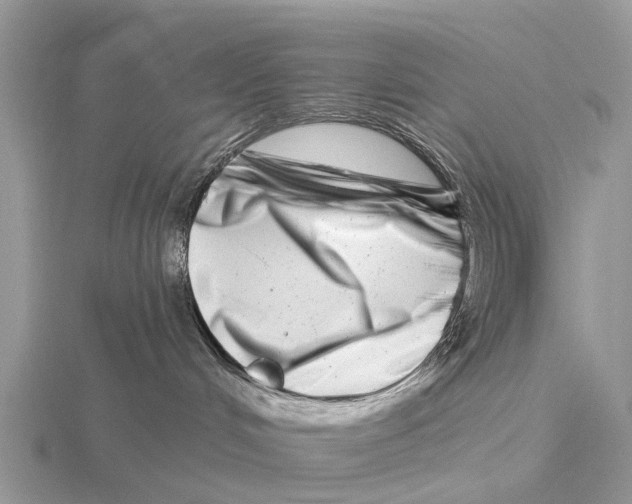 X0000115670048200912101122