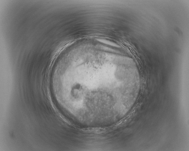 X0000115670049200912101121