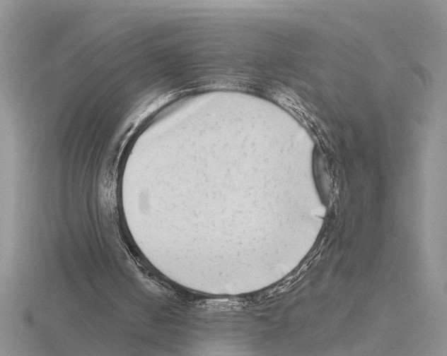 X0000115670050200912101121