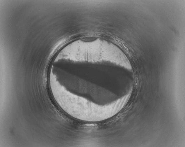 X0000115670053200912101121