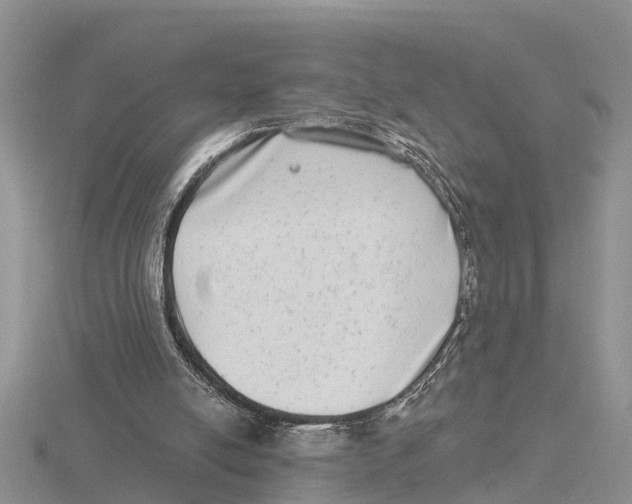 X0000115670054200912101121