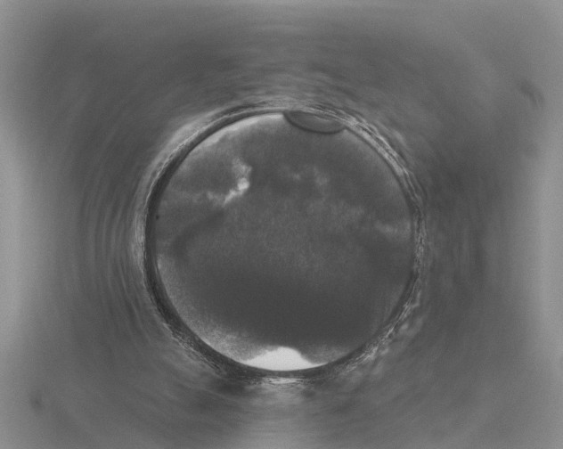 X0000115670055200912101121