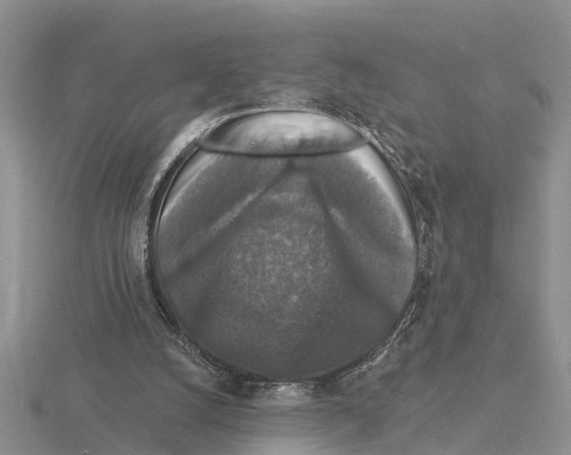 X0000115670056200912101121