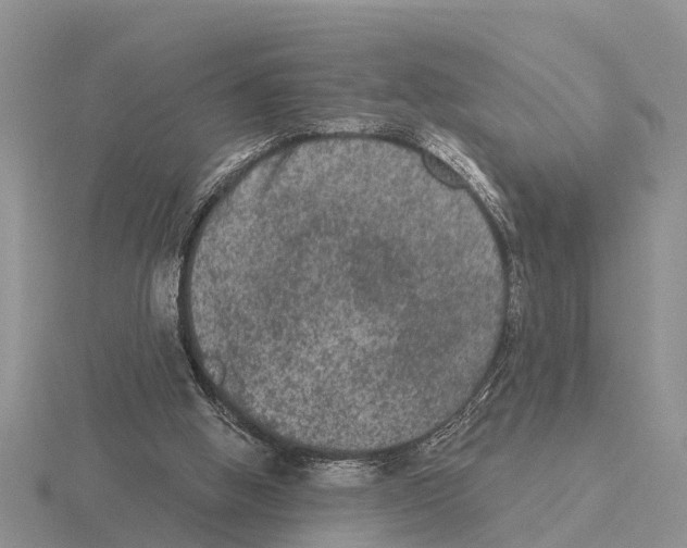 X0000115670058200912101121