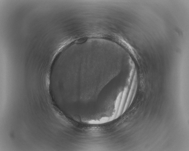 X0000115670059200912101121