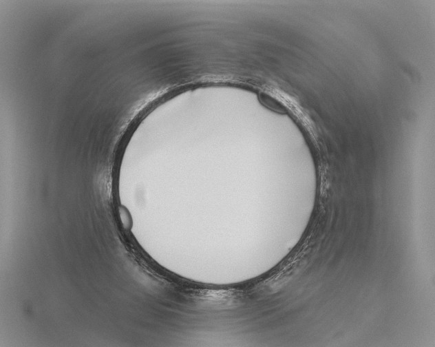 X0000115670060200912101121