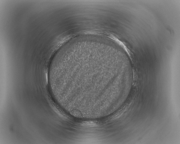 X0000115670061200912101121