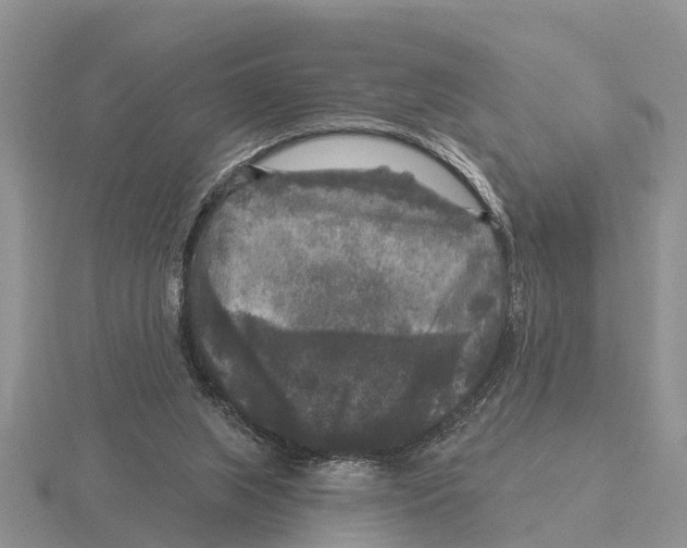 X0000115670063200912101121