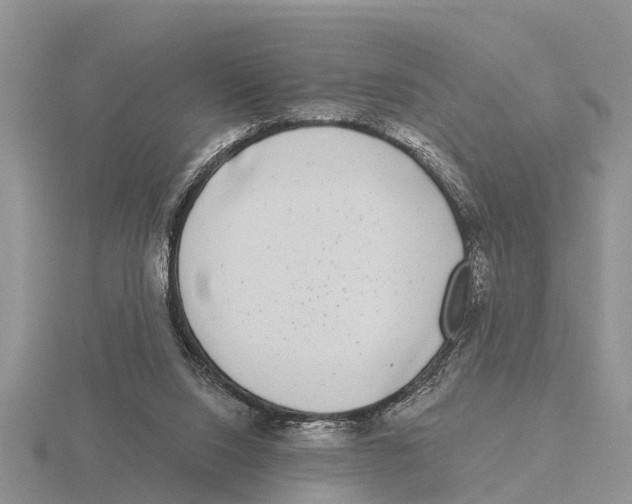 X0000115670064200912101121