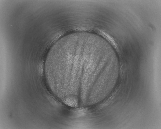 X0000115670065200912101121