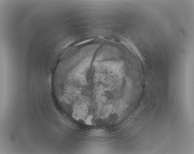 X0000115670066200912101121