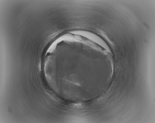 X0000115670068200912101121