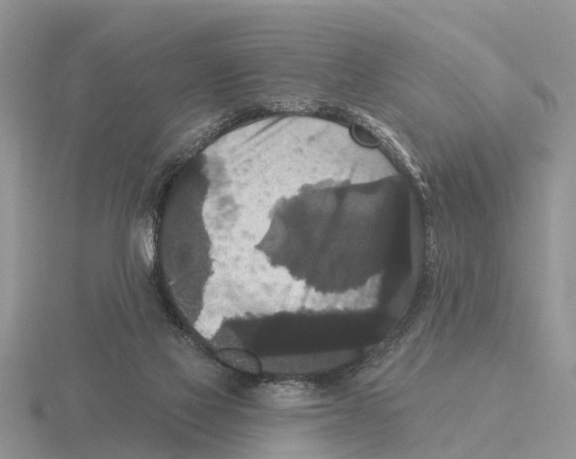 X0000115670069200912101121