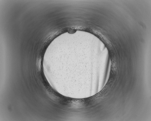 X0000115670070200912101121