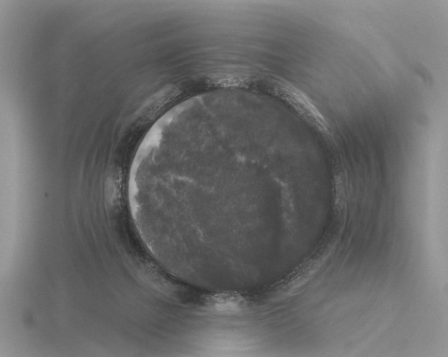 X0000115670073200912101121