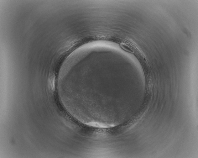 X0000115670076200912101121