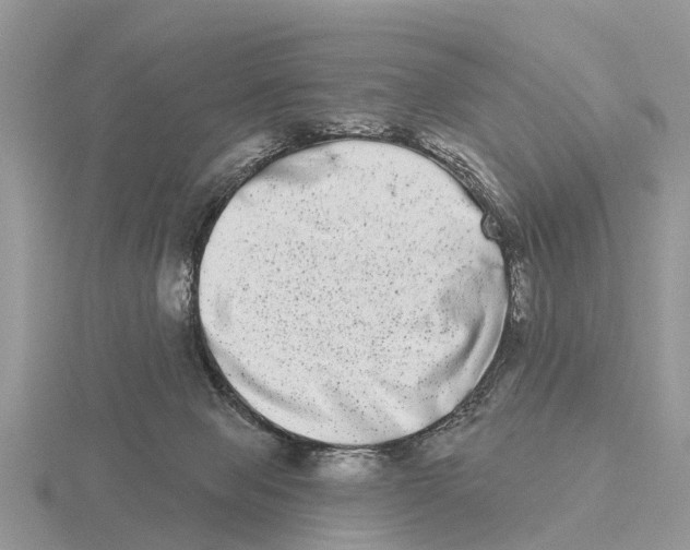 X0000115670077200912101121