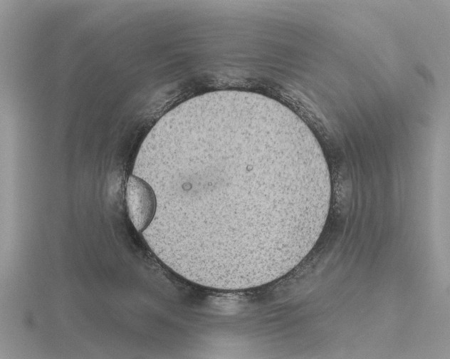 X0000115670079200912101121