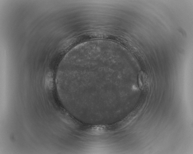 X0000115670080200912101121