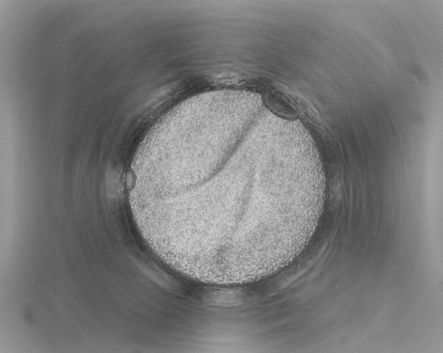 X0000115670081200912101121