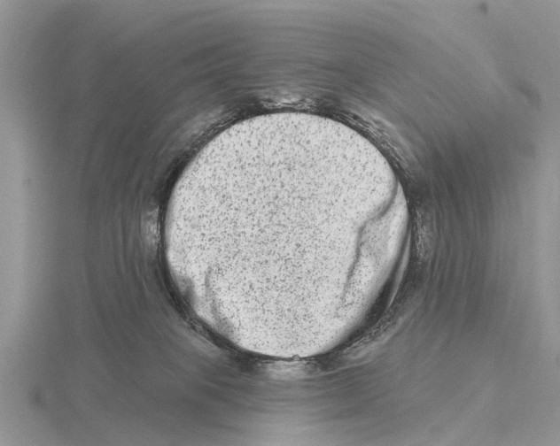 X0000115670085200912101121