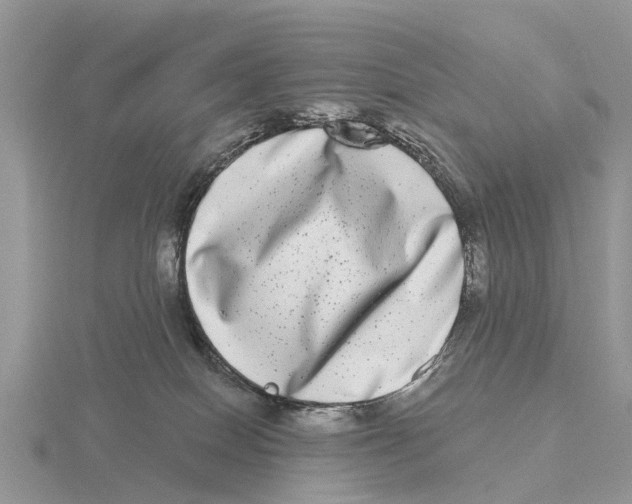 X0000115670086200912101121