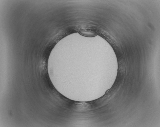 X0000115670087200912101121