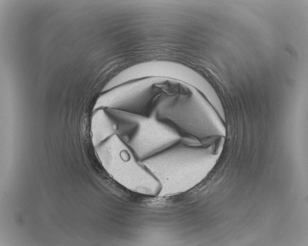 X0000115670092200912101122