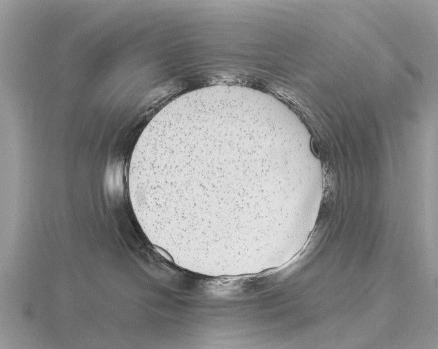 X0000115670094200912101122