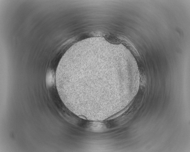 X0000115670095200912101122