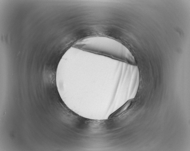 X0000115670096200912101122