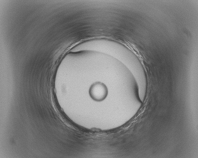 X0000115670097200912101121