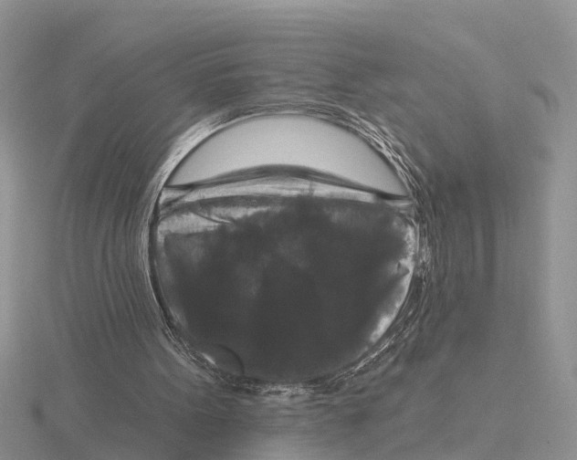 X0000115670099200912101121