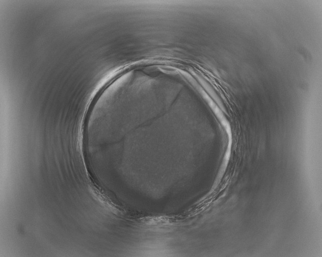 X0000115670100200912101121